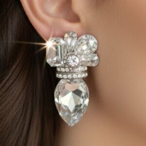 EXQUISITE CLIP~ON EARRINGS